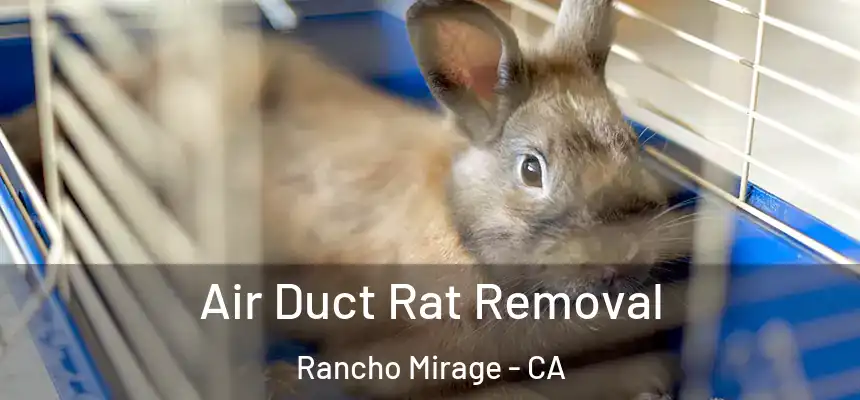 Air Duct Rat Removal Rancho Mirage - CA