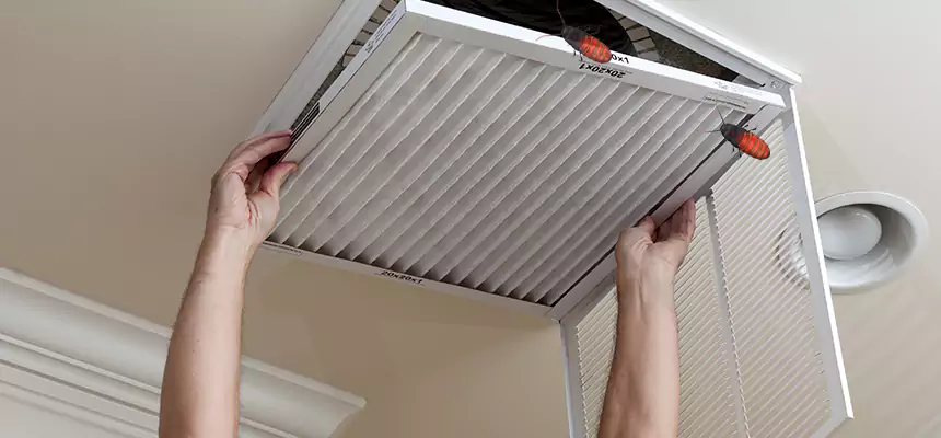 Preventive Cockroach-Proofing for Ducts in Rancho Mirage
