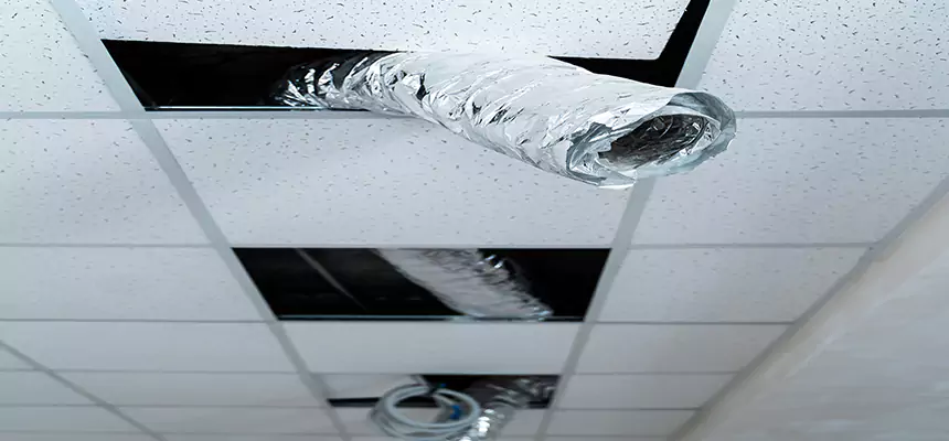 Affordable HVAC Sanitizing After Pest Removal in Rancho Mirage