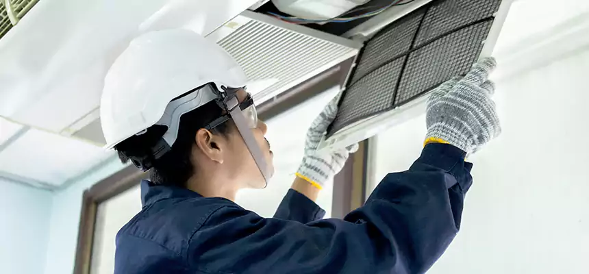 Our Mold & Mildew Removal from Air Ducts Services in Rancho Mirage, CA