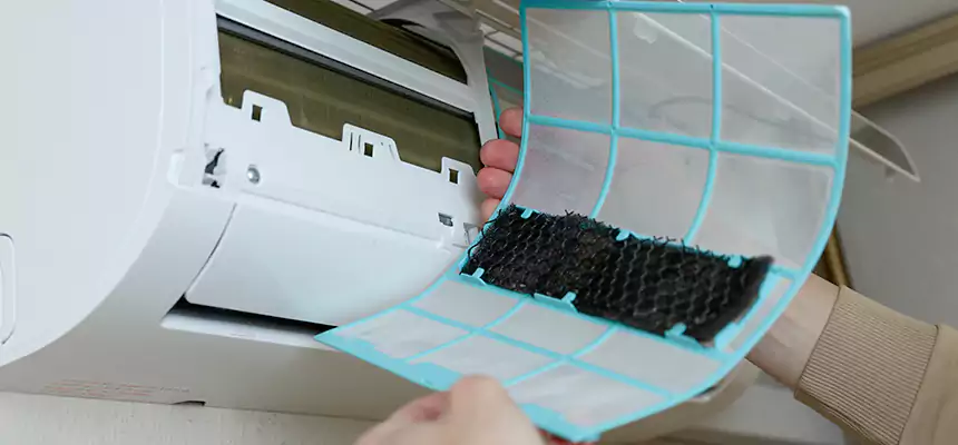 Gentle Ductwork Odor-Control Pet Dander Duct Cleaning in Rancho Mirage, CA