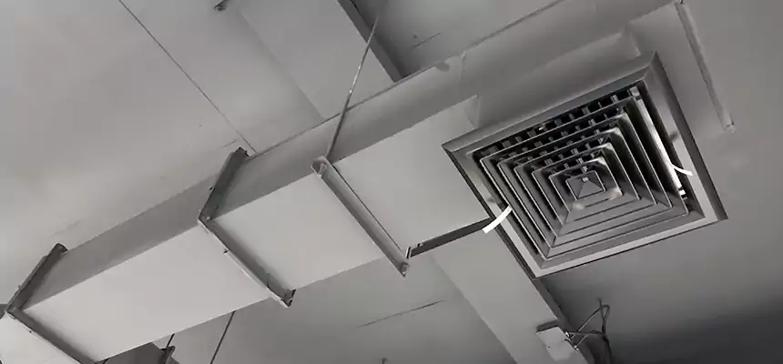 Our Rodent Droppings In Vents Services in Rancho Mirage, CA