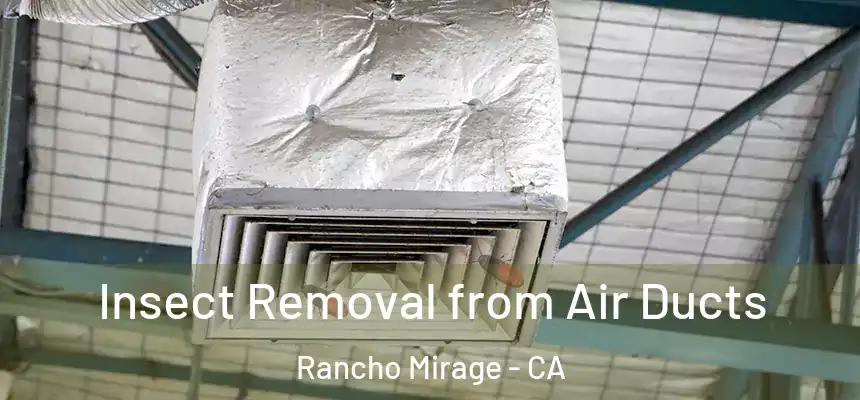 Insect Removal from Air Ducts Rancho Mirage - CA