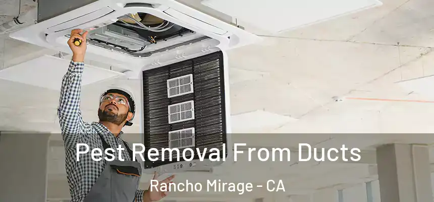Pest Removal From Ducts Rancho Mirage - CA
