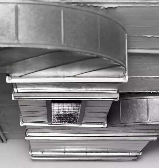 Professional Air Duct Pest Removal in Rancho Mirage, CA