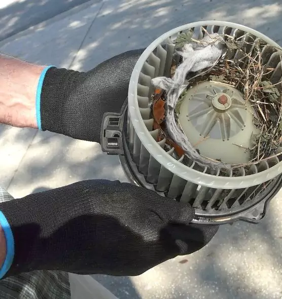 About Air Duct Rat Removal in Rancho Mirage, CA