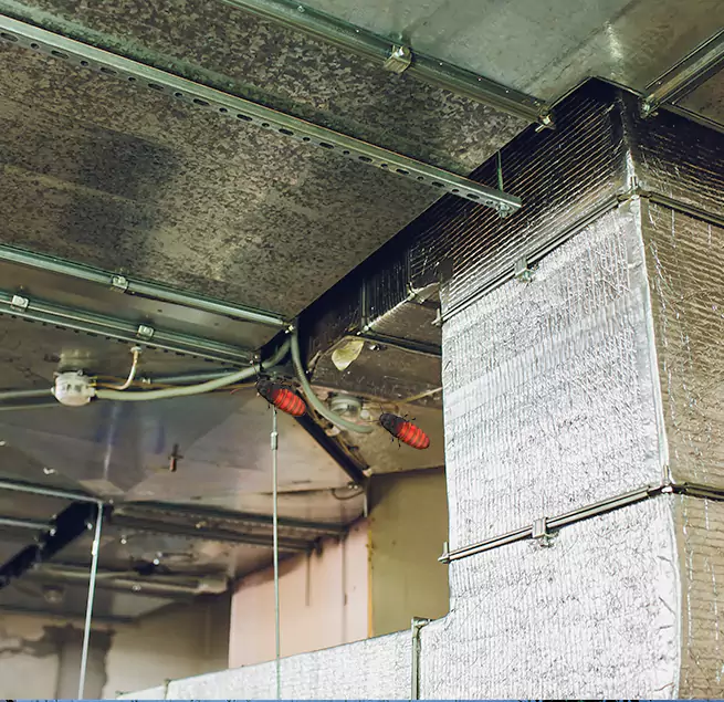 Why Homeowners & Businesses Trust Us in Rancho Mirage, CA?