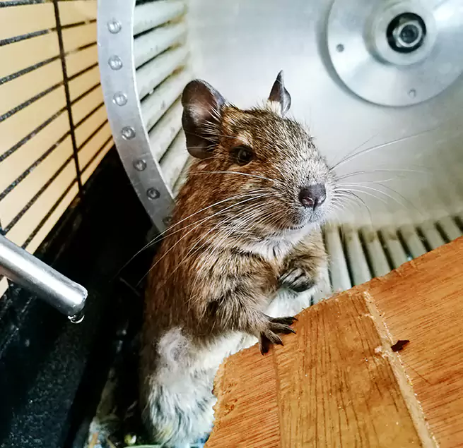 Why Homeowners & Businesses Trust Us Rancho Mirage, CA