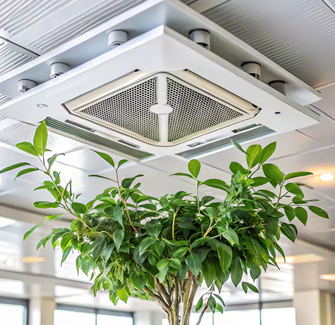 Why Homeowners & Businesses Trust Us in Rancho Mirage, CA