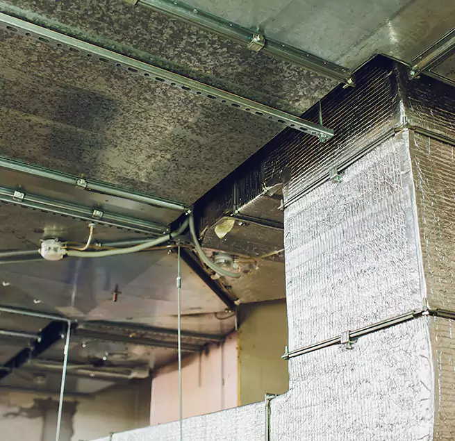 Why Homeowners & Businesses Trust Us in Rancho Mirage, CA?